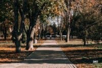 Громади Полтавщини увійшли до рейтингу кращих в Україні (ПЕРЕЛІК)