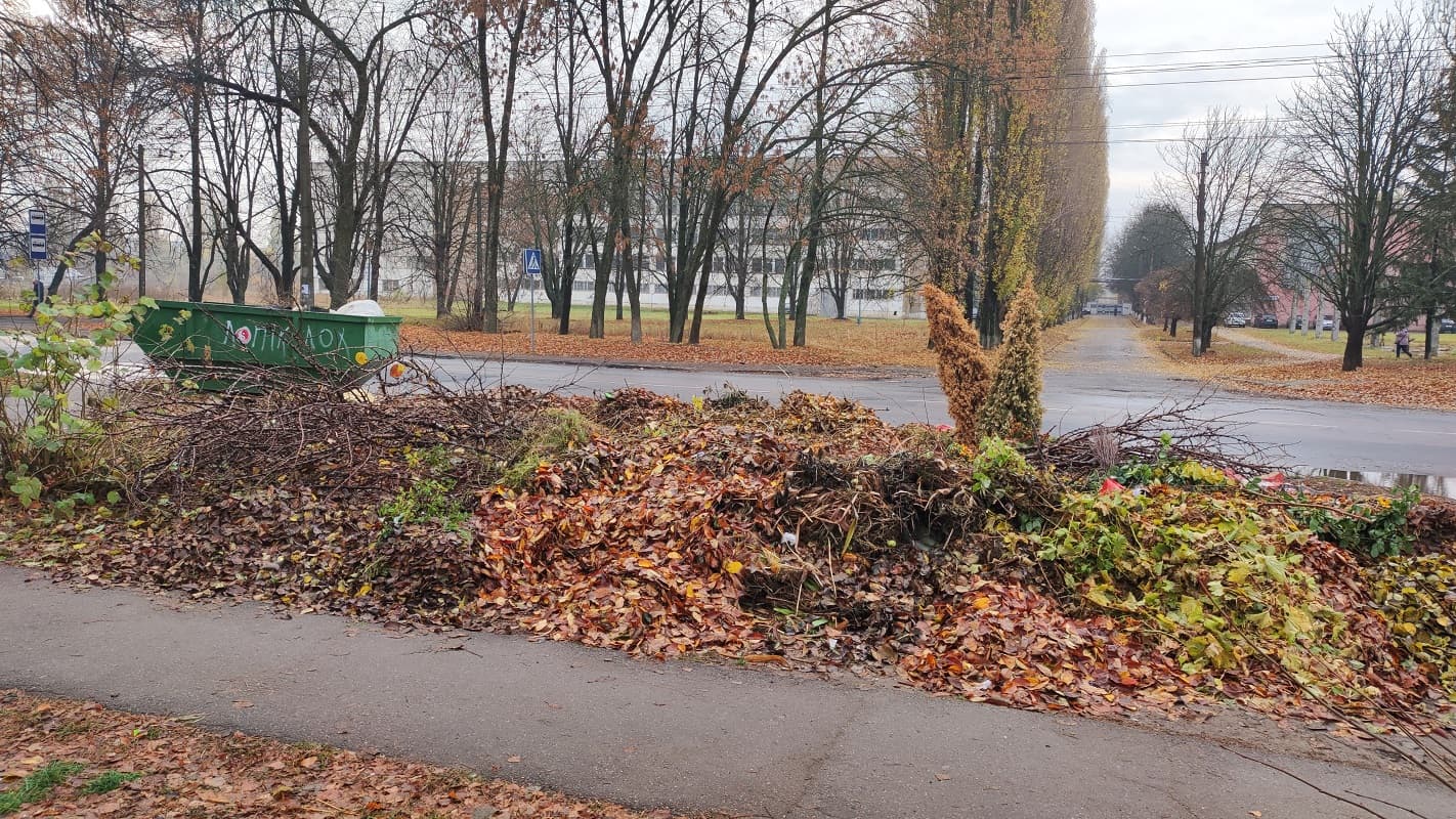 Сміттєвий майданчик на вул. Маршала Бірюзова