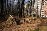 30 нових багатоповерхівок біля Гришкиного лісу: розробили проєкт детального плану території для забудови