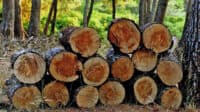 Лісівники Полтавщини передають деревину для потреб військових та жителів прифронтових міст