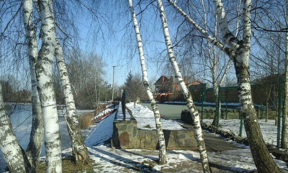 Дача Капашина