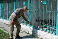 У кінологічному центрі Полтавщини прихистили службових собак, яких евакуювали з Харківщини