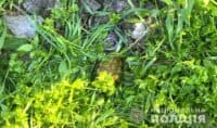 На Полтавщині поблизу стадіону виявили гранату