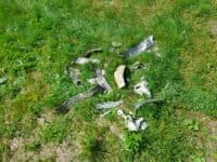 На кордоні Полтавщини та Сумщини український літак збив ворожу ракету
