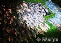 На Полтавщині чоловіки незаконно виловили риби на 2 мільйони гривень