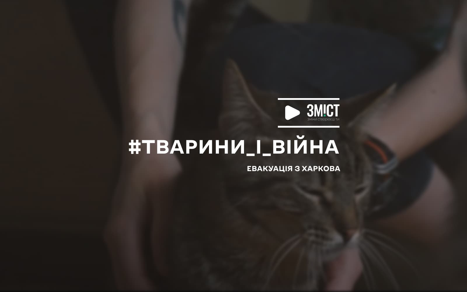 Чотирилапі біженці: евакуація під обстрілами та посттравматичний синдром (ВІДЕО)