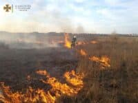 На Полтавщині спалахнула лісова пожежа
