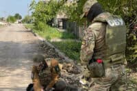 Терористи з «ЛНР» намагалися завербувати місцевого, а він здав їх СБУ. Який вирок йому оголосили