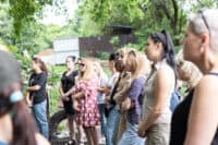 Зоозахисники Полтави вимагають відкрити дані про нових власників безпритульних тварин