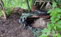 На Полтавщині судитимуть чоловіка, який вбив собаку односельця