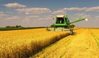 Фермери Полтавщини сіють озиму під урожай 2023 року