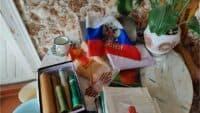 Росіянина, який приїхав на Полтавщину розповідати про «бандерівців і націоналістів», взяли під нічний домашній арешт
