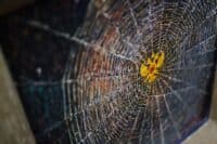 У Полтаві продають картину художника Віктора Трохимця-Мілютіна для збору коштів на рації для ЗСУ