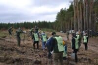 Під час війни на Полтавщині висадили майже 200 гектарів нового лісу