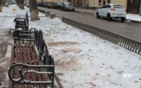 Комунальники спиляли дерево на бульварі Гоголя у Полтаві й обіцяють висадити нове (ФОТО)