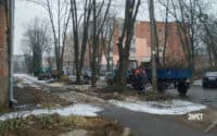 До складу комісії, що визначає стан дерев у Полтаві, хочуть залучити фахівців