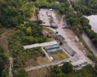 Комунальники використовують спиляні дерева у Полтаві для обігріву цеху «Декоративних культур»