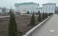 Полтавці зможуть вирішувати долю дерев: нові рішення ландшафтної ради міста