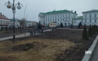 Де цьогоріч висадять нові дерева у Полтаві: локації