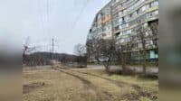Працівники «Полтаваобленерго» обрізали дерева в одному з районів міста (ФОТО)