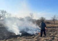 На Полтавщині чоловік влаштував пожежу вздовж дороги, бо його «задовбали» кліщі