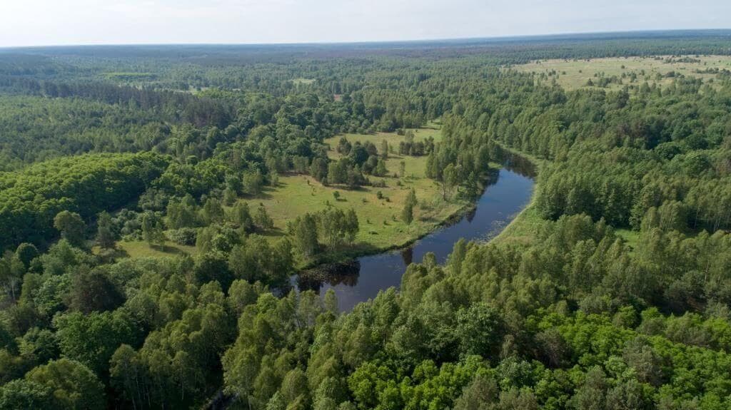 Природний заповідник “Древлянський” Ілюстративна світлина