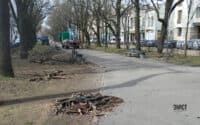 На бульварі Котляревського в Полтаві виконують санітарну обрізку дерев