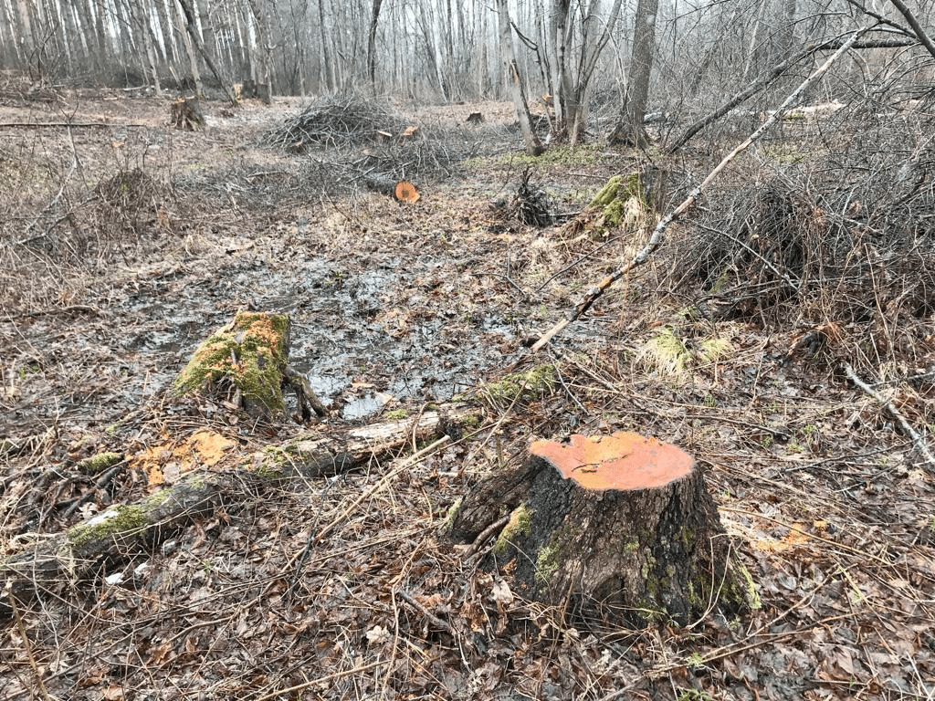 Ілюстративне фото
