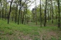 Громаді на Полтавщині повернули земельну ділянку вартістю майже 158 мільйонів гривень