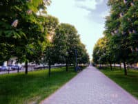Порівнюємо старі та сучасні фото Каштанової алеї у Полтаві