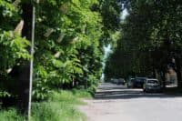 Обрали три варіанти для нової назви вулиці Ломоносова в Полтаві