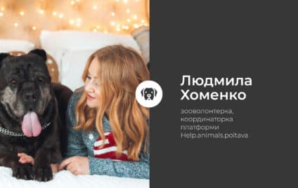 Усе про стерилізацію та чому варто дбати про безпритульних тварин