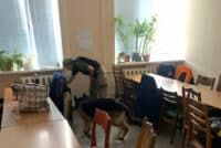 Поліції повідомили про замінування суду на Полтавщині
