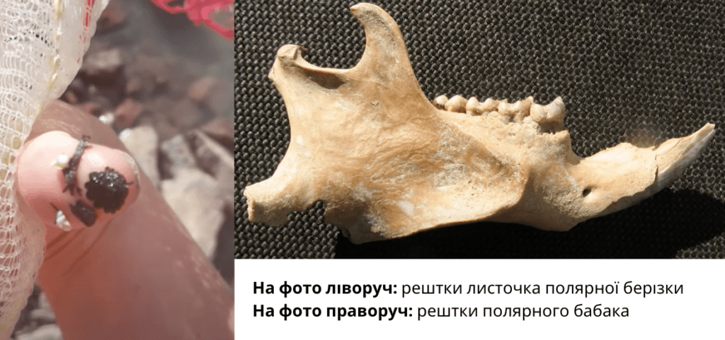 Артефакти, які знайшли палеонтологи