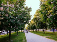 Каштанову Алею в Полтаві хочуть перейменувати на честь загиблих героїв – пропозиція родин захисників