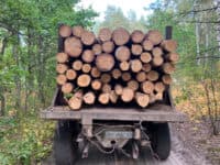 На Полтавщині викрили схему перевезення дрів за підробленими документами