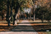 Розпочали голосування за перейменування вулиці Пушкіна та Сонячного парку в Полтаві