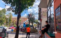 У Полтавській громаді зареєстрували понад 4 тисячі аварійних дерев
