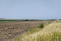 Громади Полтавщини втрачають гроші через відсутність контролю за використанням земель