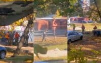 У полтавському «ЖЕО №2» визнали, що не мали потреби замовляти косіння трави у жовтні