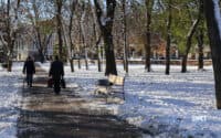 Міський базар та кладовище: що було на місці Сонячного парку в Полтаві
