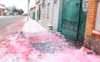Рожевий сніг в Полтаві може бути ознакою отрути для тварин