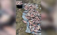 Браконьєри на Полтавщині покинули три мішки риби: їх разом із сітками знайшла поліція