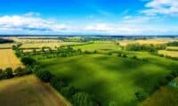На Полтавщині в громадян Росії та Білорусі конфіскували земельних ділянок на майже два мільйони гривень