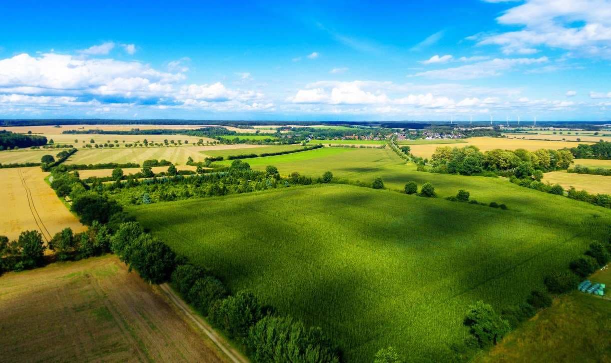 Ілюстративне фото