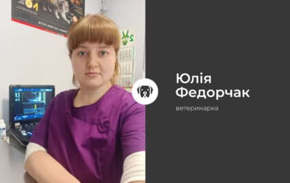 Збираємося в укриття з домашнім улюбленцем