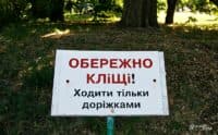 Вісім жителів Полтавщини інфікувалися хворобою Лайма після укусу кліща