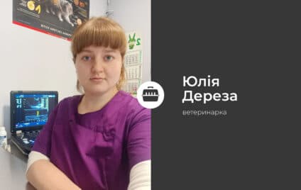 Страх у тварини: як з цим впоратися