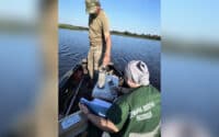 У Ворсклі гине риба
