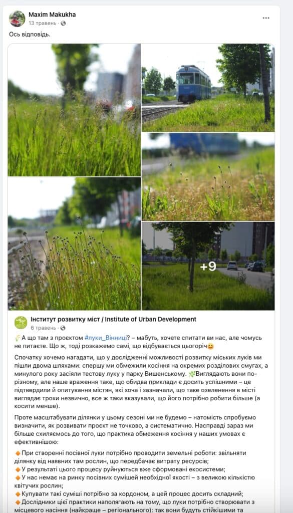 Амброзія в Полтаві